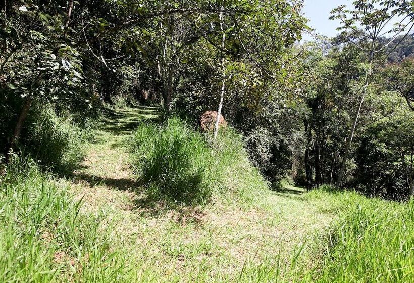 膳宿费 Pousada Alpes