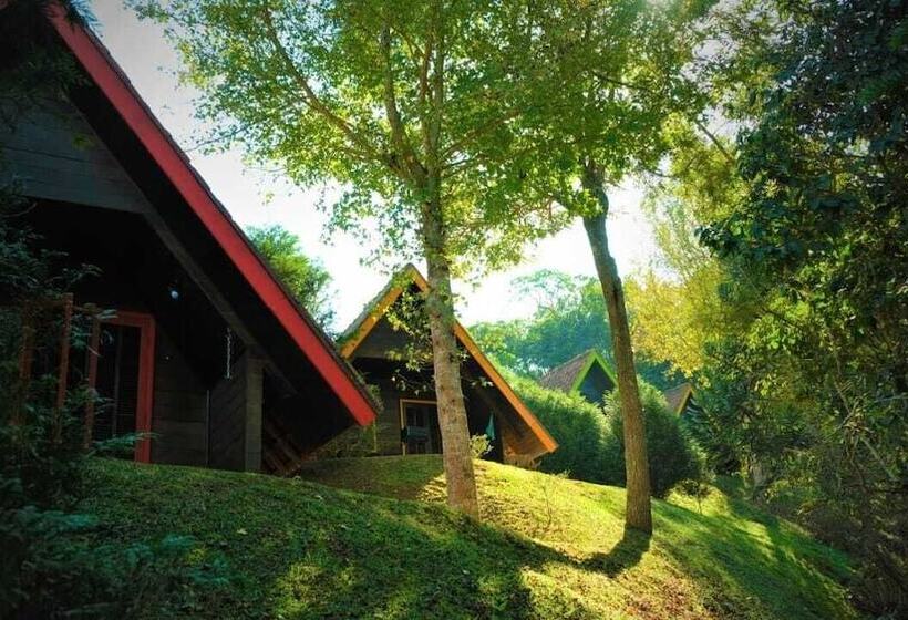 膳宿费 Pousada Alpes