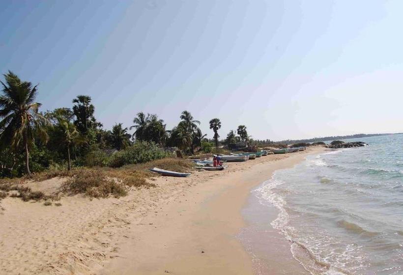 פנסיון Yoho Nuga Villa