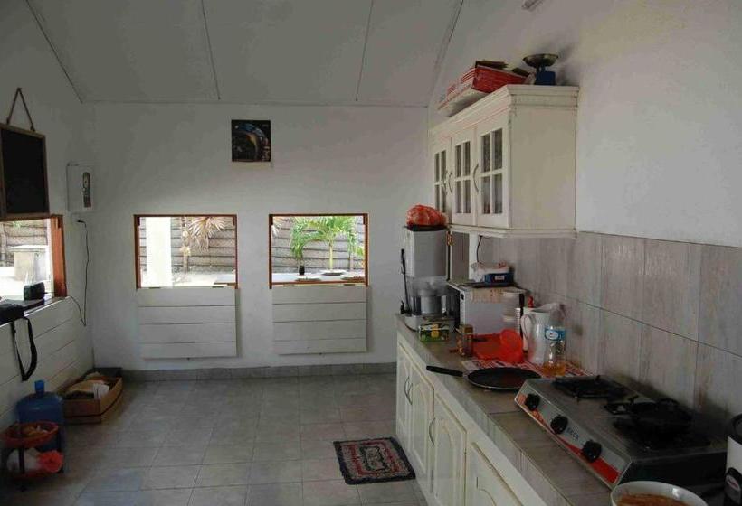 פנסיון Yoho Nuga Villa