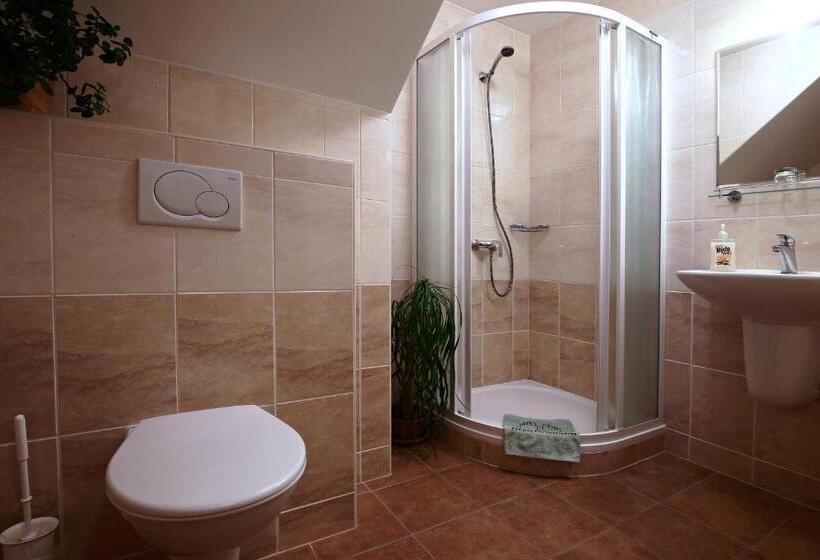 بنسيون Wellness Penzion Pod Rozhlednou