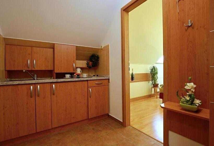 بنسيون Wellness Penzion Pod Rozhlednou