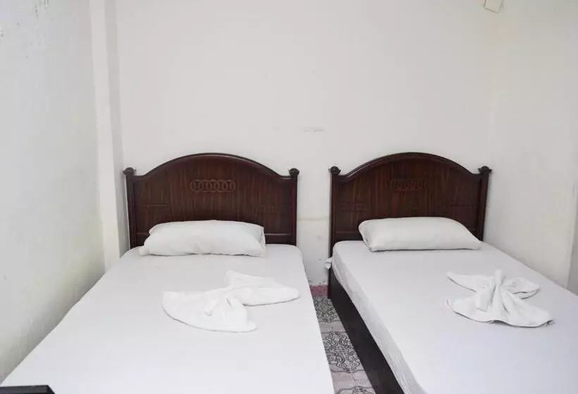 هتل Egyptians Hostel