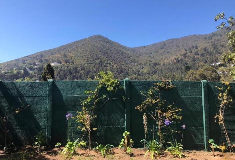 بنسيون Hostería Zapallar