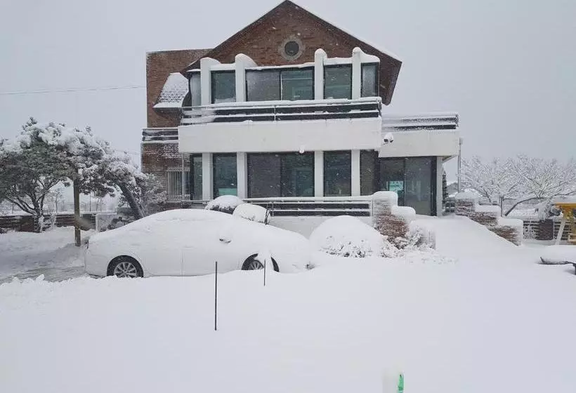 پانسیون Pine Garden Guesthouse