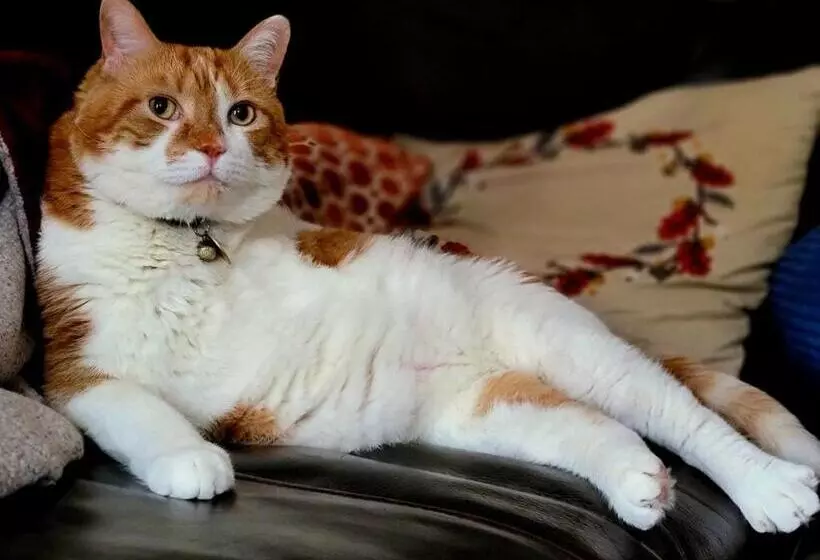 Retkeilymaja Stepping Stone Inn