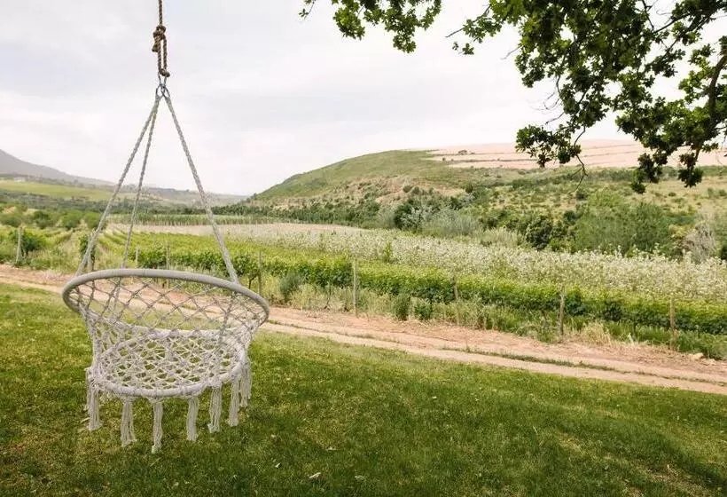 ホテル Beaumont Family Wines