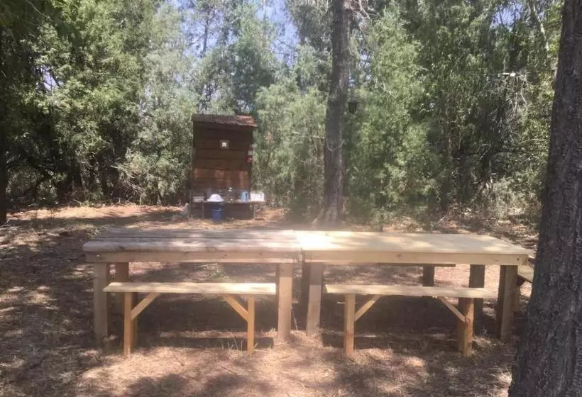 ホテル Taos Goji Farm & Eco Lodge Retreat