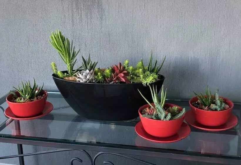 ペンション Beds At Paarl