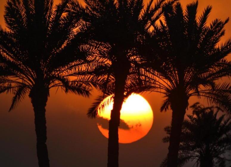 Riad Mainson D Hotes Ambelar