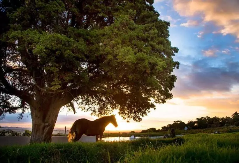 ホテル Landskroon Cottage