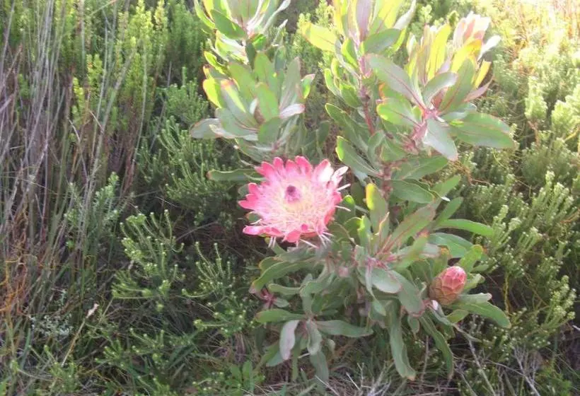 Majatalo Avondsrus Guesthouse