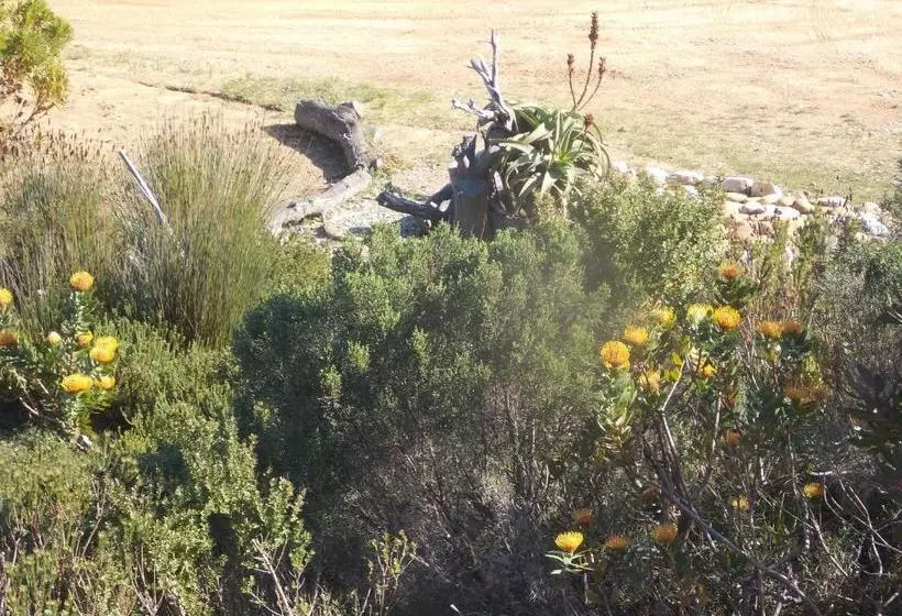 Majatalo Avondsrus Guesthouse