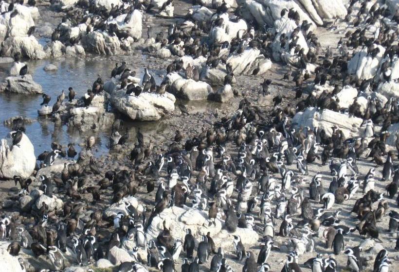 Пансион Avondsrus Guesthouse