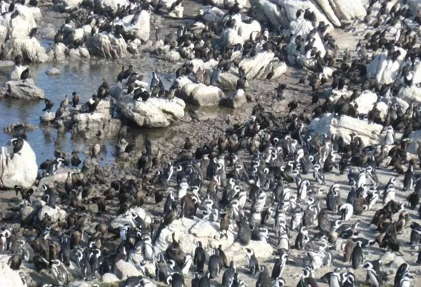 Majatalo Avondsrus Guesthouse