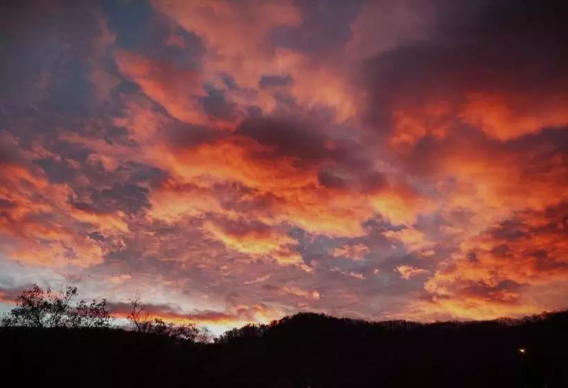 Majatalo Conacul Malul Alb