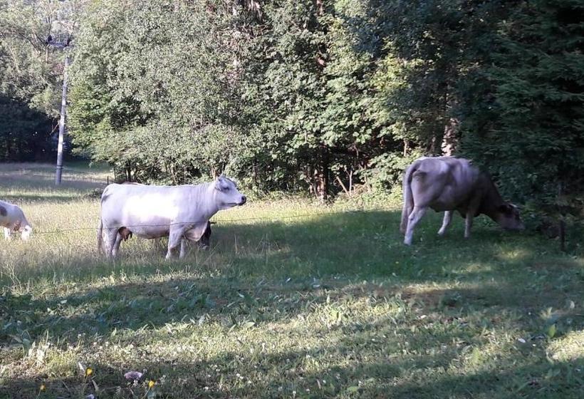 פנסיון Horská Chata Olympia