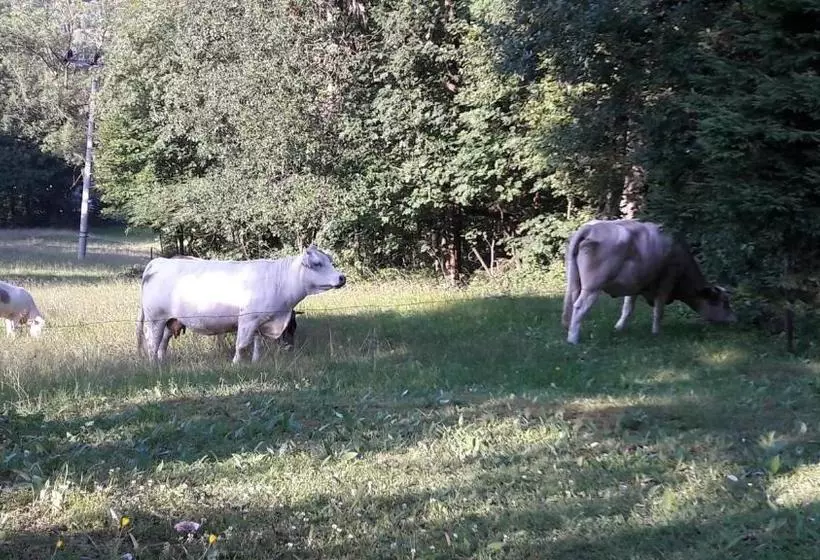 پانسیون Horská Chata Olympia