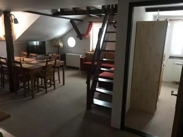 پانسیون Horská Chata Olympia