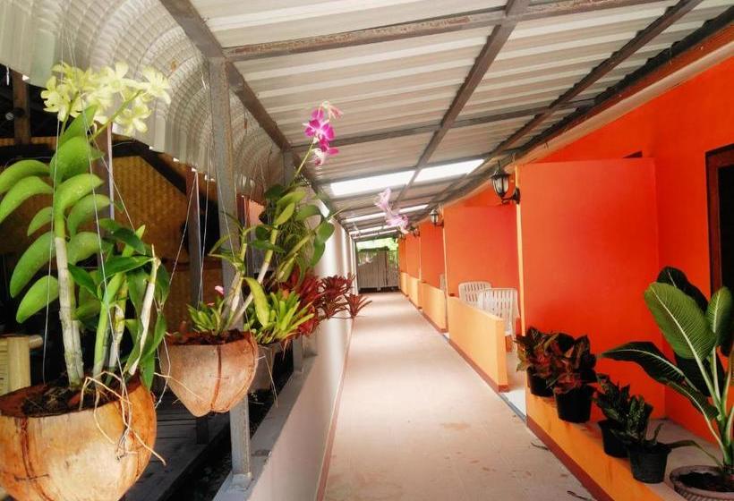 膳宿费 Phi Phi Coralbay