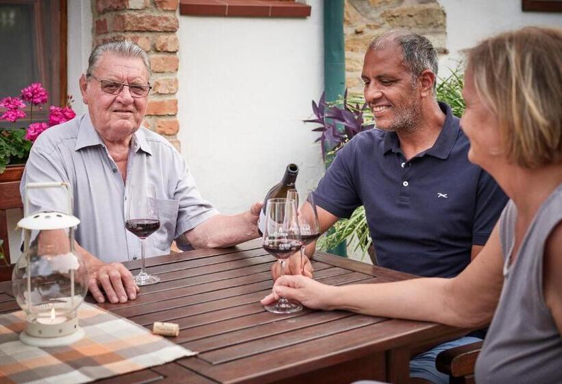 بنسيون Winzerhof Agerlhof