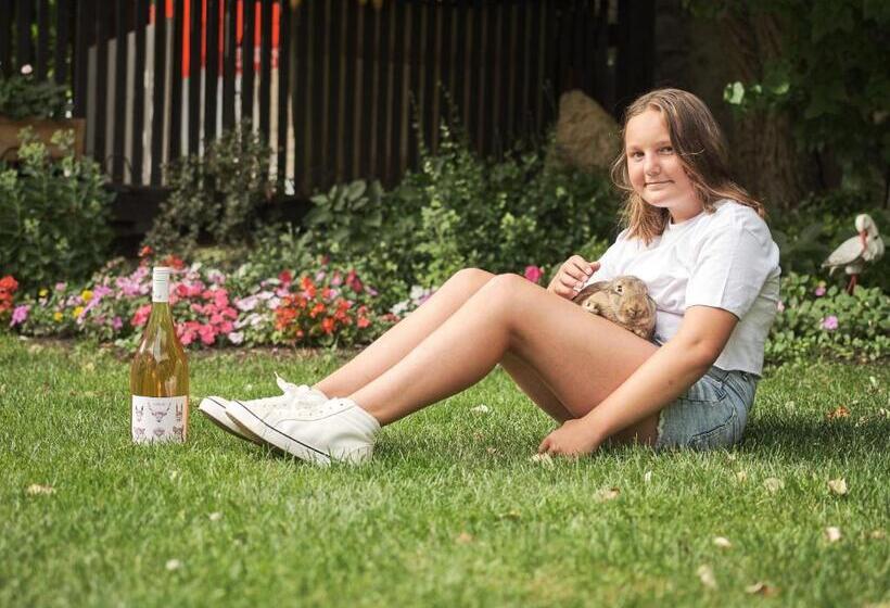 بنسيون Winzerhof Agerlhof