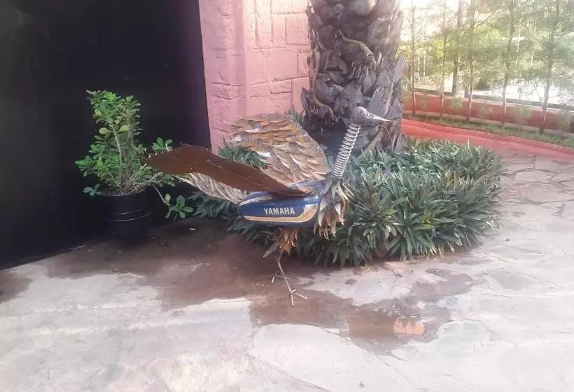 هاستل Tamana