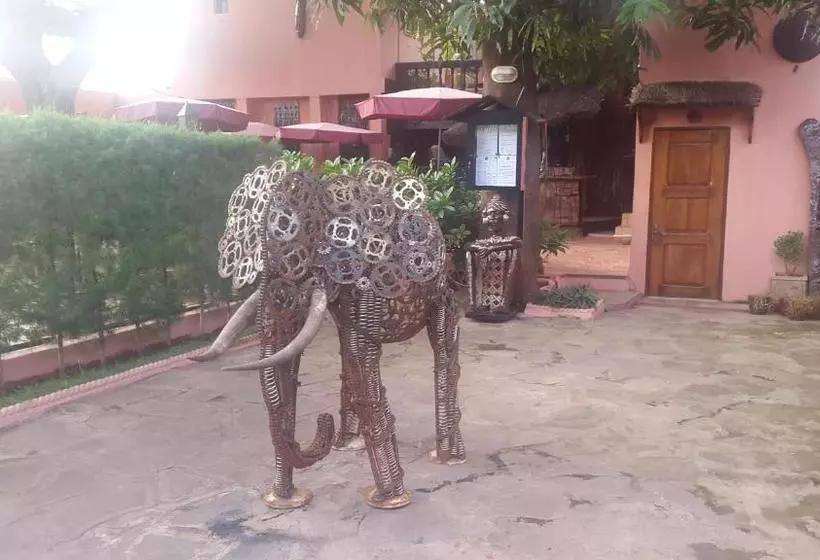 هاستل Tamana