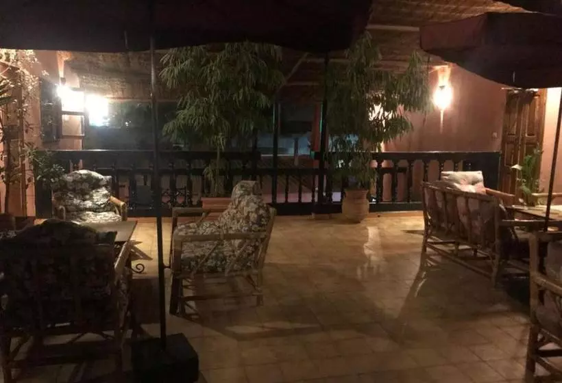 هاستل Tamana