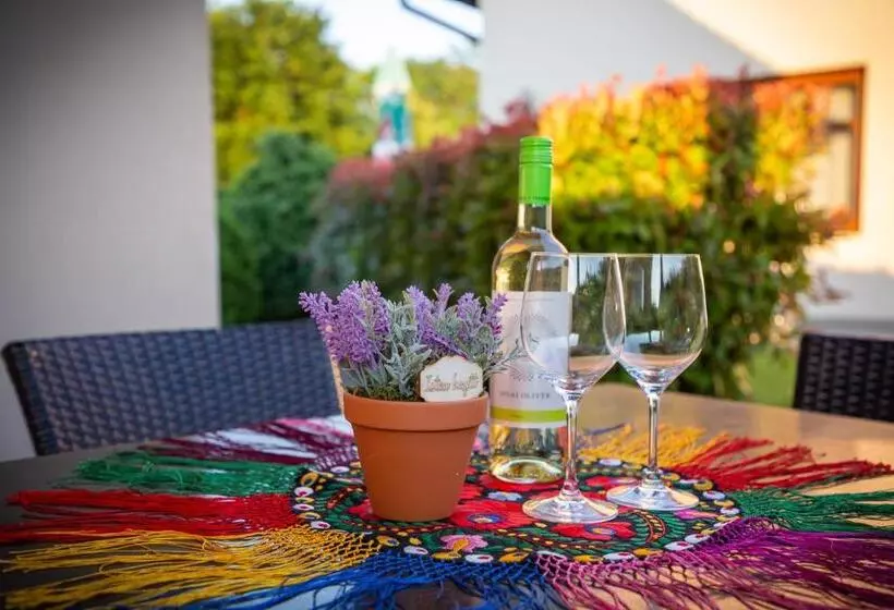 Pandora Zsóry Apartmanok Mezőkövesd