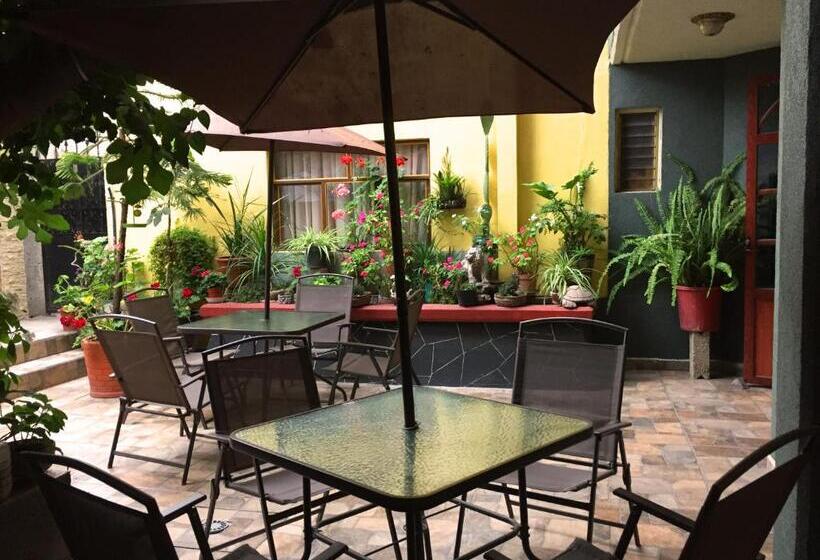 Пансион Jatziri