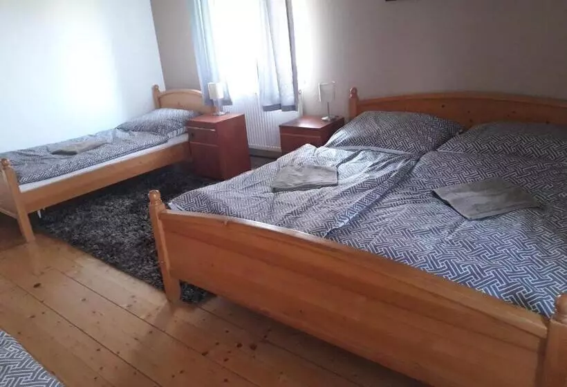 پانسیون Penzion Na Střelnici