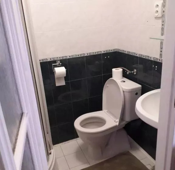 پانسیون Penzion Na Střelnici