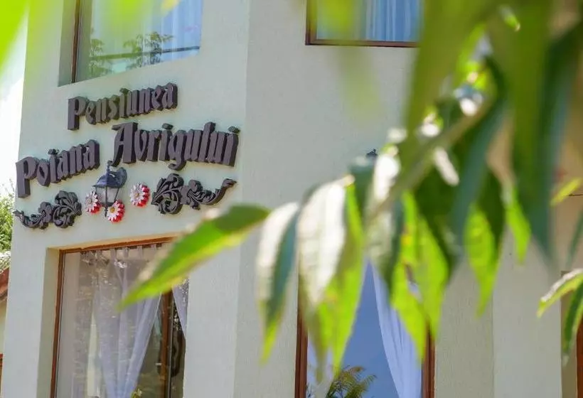 Pensiunea Poiana Avrigului