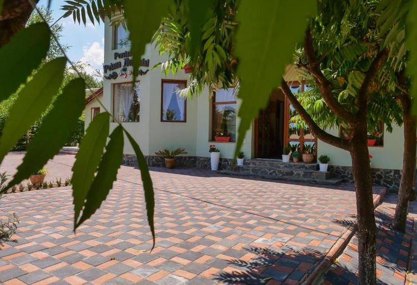 Pensiunea Poiana Avrigului