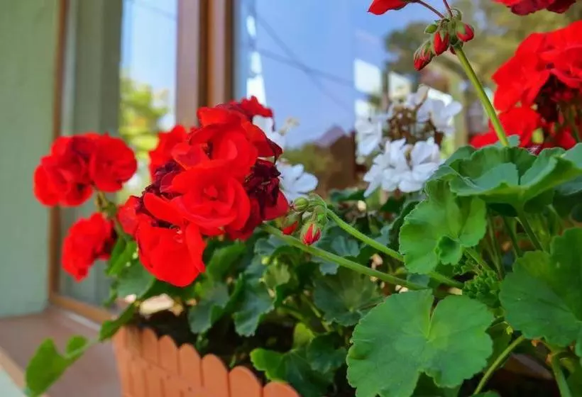 Pensiunea Poiana Avrigului