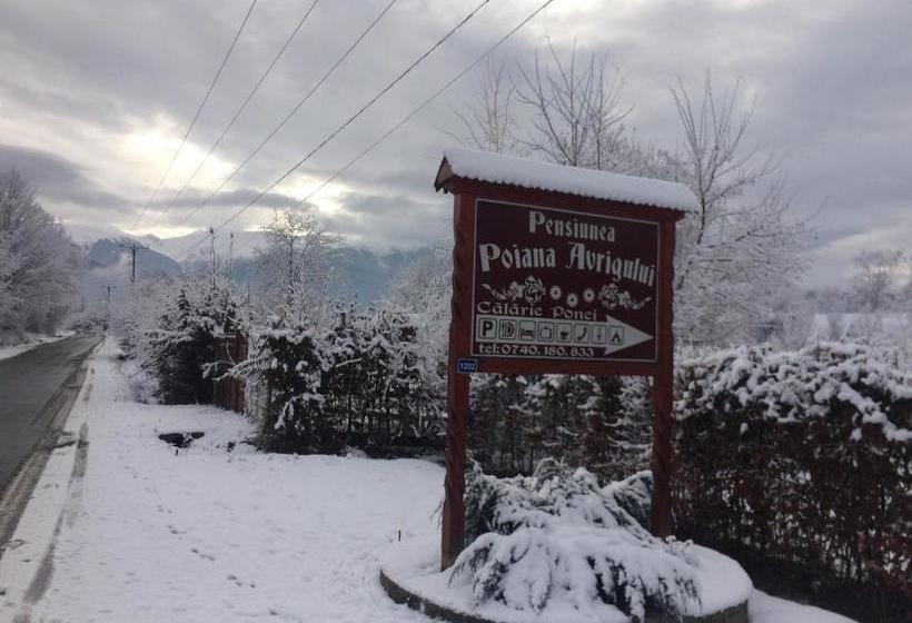 Pensiunea Poiana Avrigului