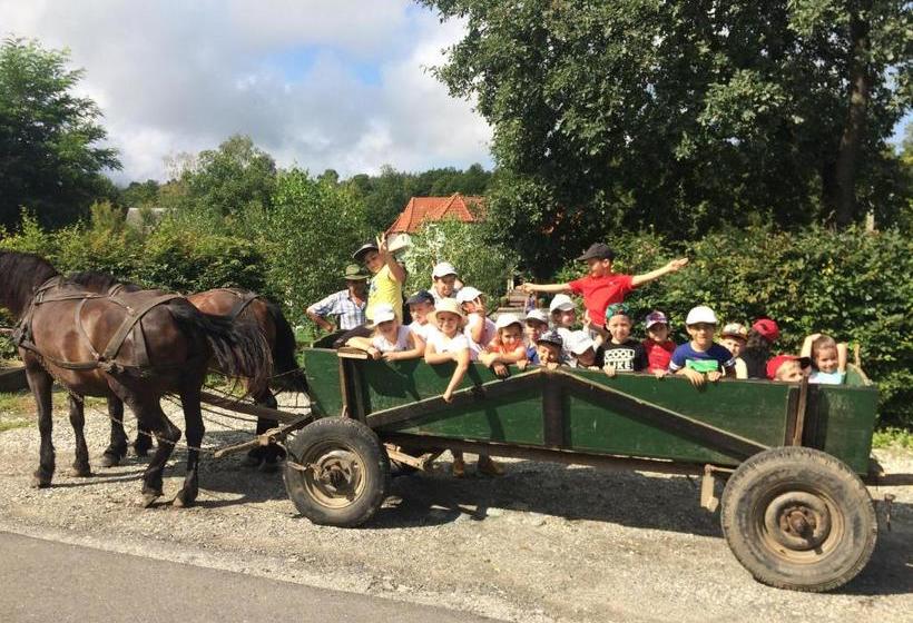 Pensiunea Poiana Avrigului