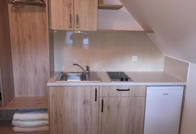 پانسیون Apartmaji In Sobe Tina