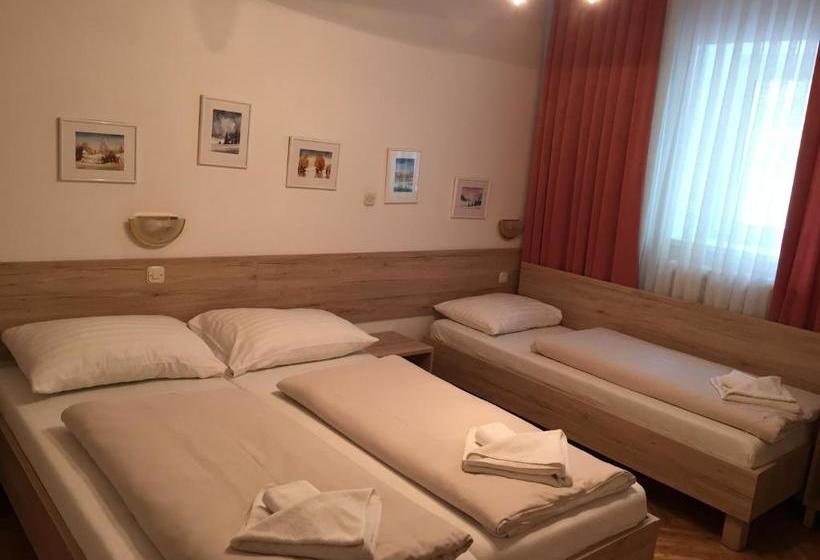 پانسیون Apartmaji In Sobe Tina