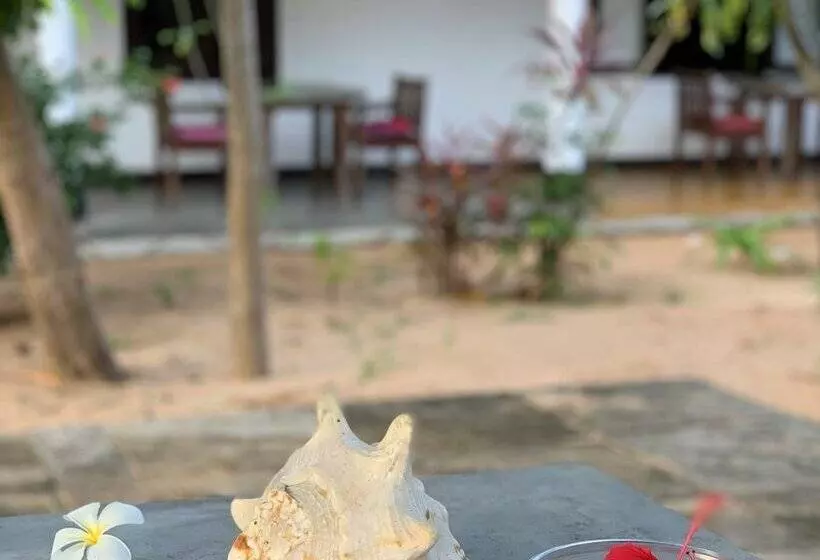 پانسیون The Danish Villa Resort