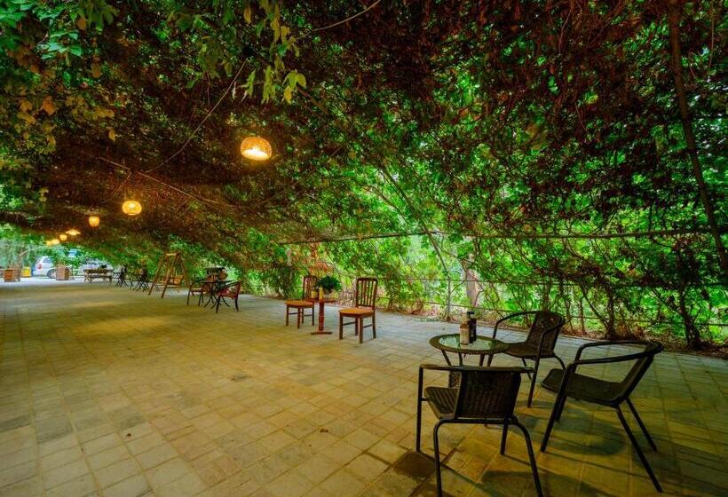 Pensionat Dunhuang Hu Yang Inn