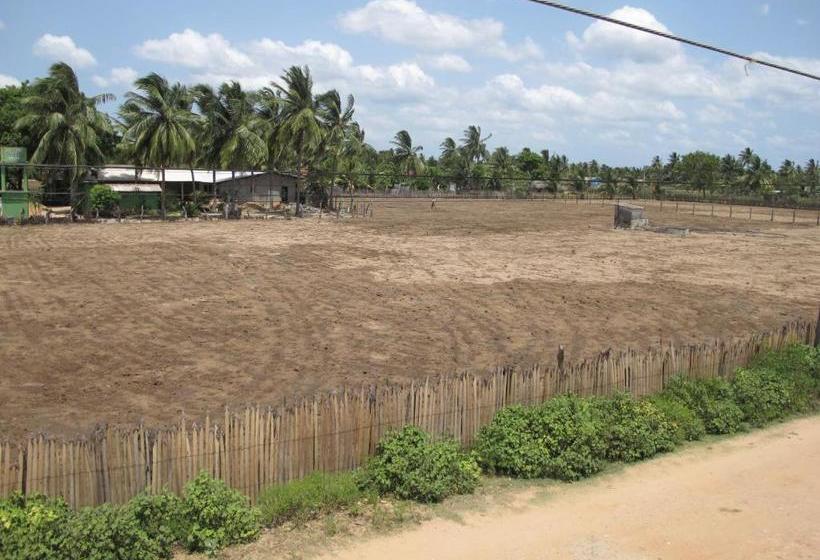 פנסיון Gopalapuram Guest House