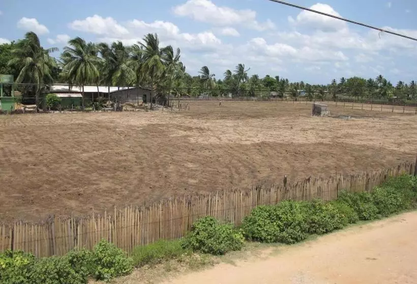 Majatalo Gopalapuram Guest House