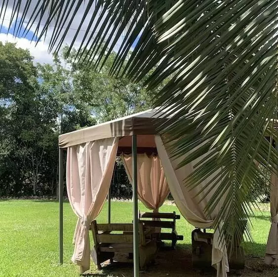 ペンション Pousada E Hostel Caminho De Santiago