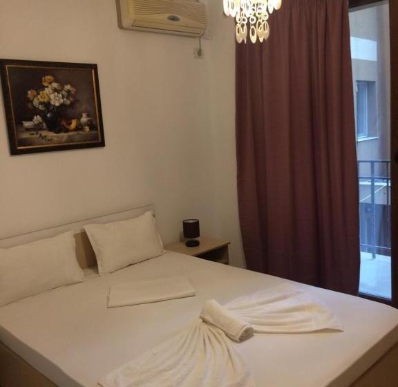 بنسيون Vilele Liliana