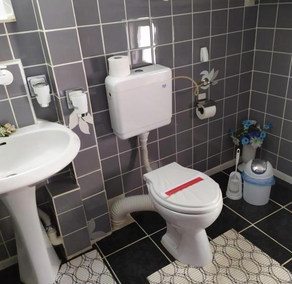 פנסיון Gologanova House