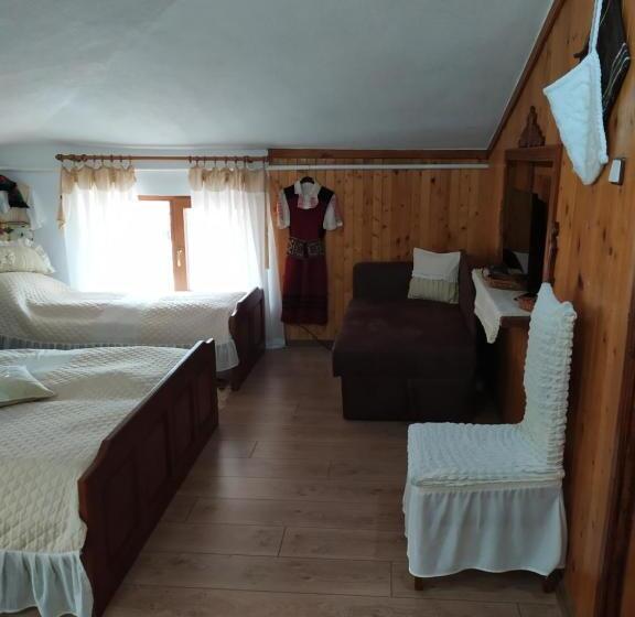 פנסיון Gologanova House