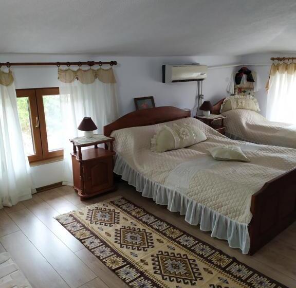 פנסיון Gologanova House