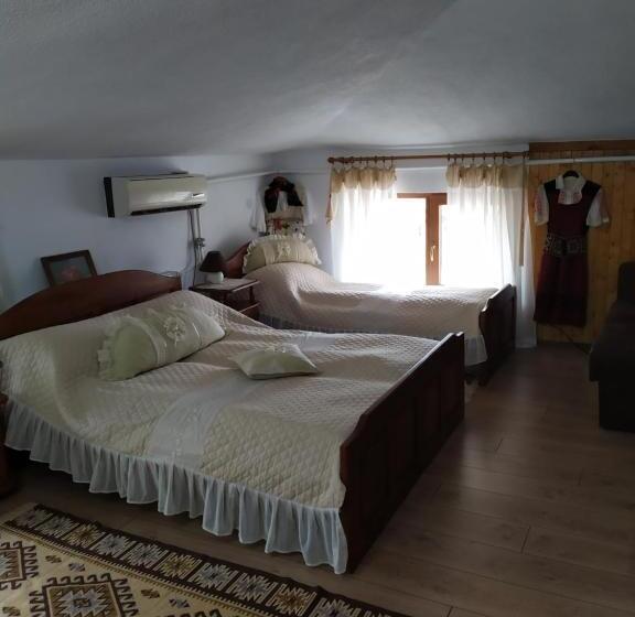 פנסיון Gologanova House